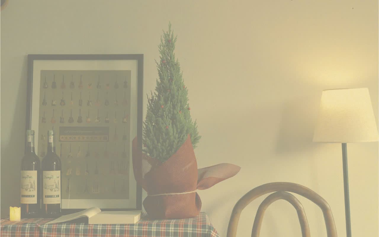 banner-home